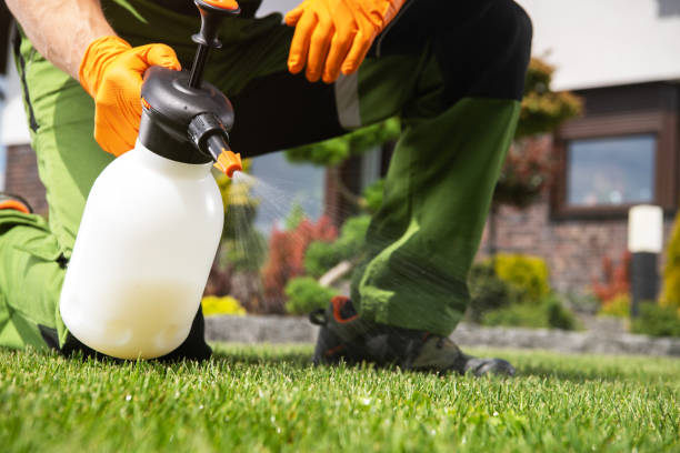 Best Best Pest Control Companies  in Fort Rucker, AL