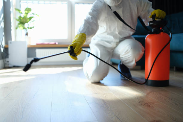 Best Local Pest Control Services  in Fort Rucker, AL