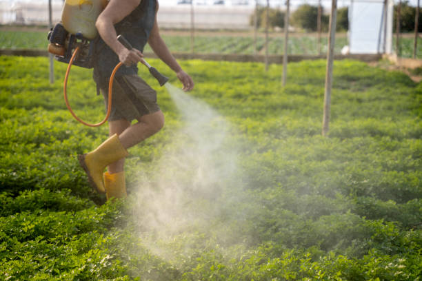 Best Flea Control Services  in Fort Rucker, AL