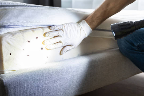 Best Commercial Pest Control Services  in Fort Rucker, AL
