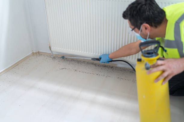 Best Pest Removal Services  in Fort Rucker, AL