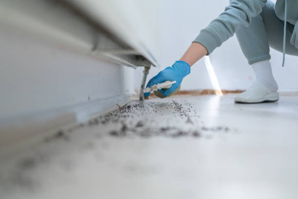 Best Best Pest Control Companies  in Fort Rucker, AL